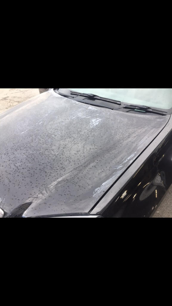 Bundall Detailing
