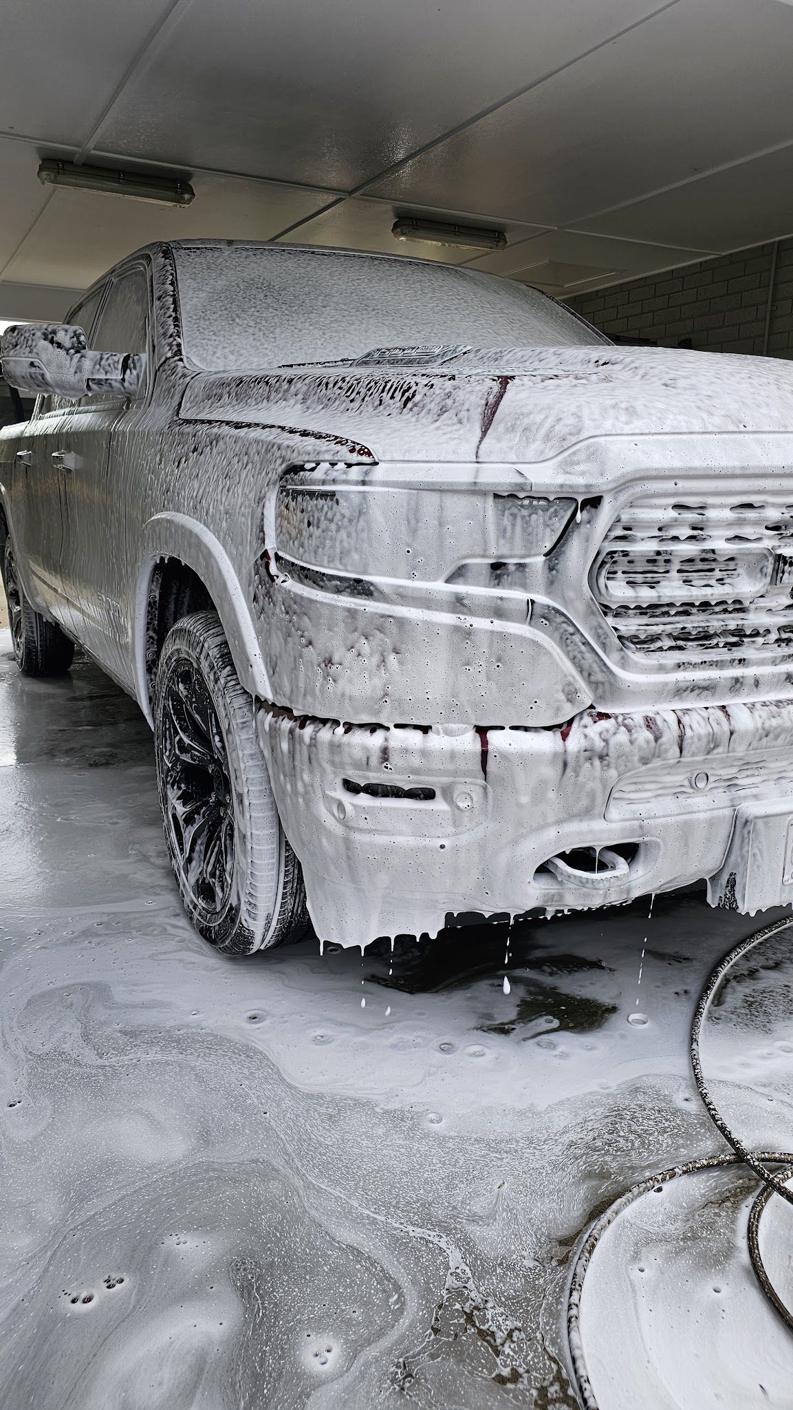 Detailerz Allegiance