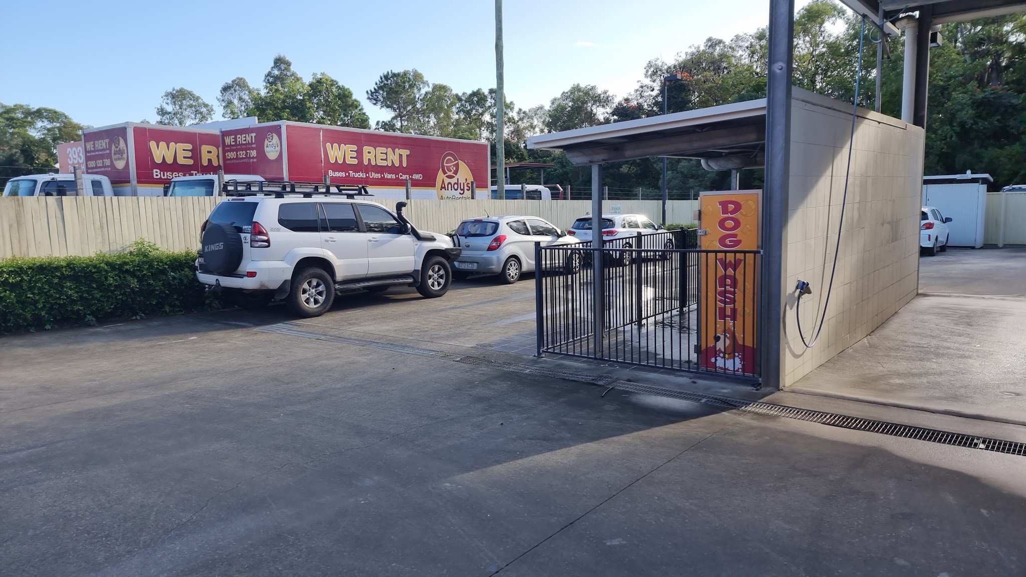 Ecogreen Car And Dog Wash