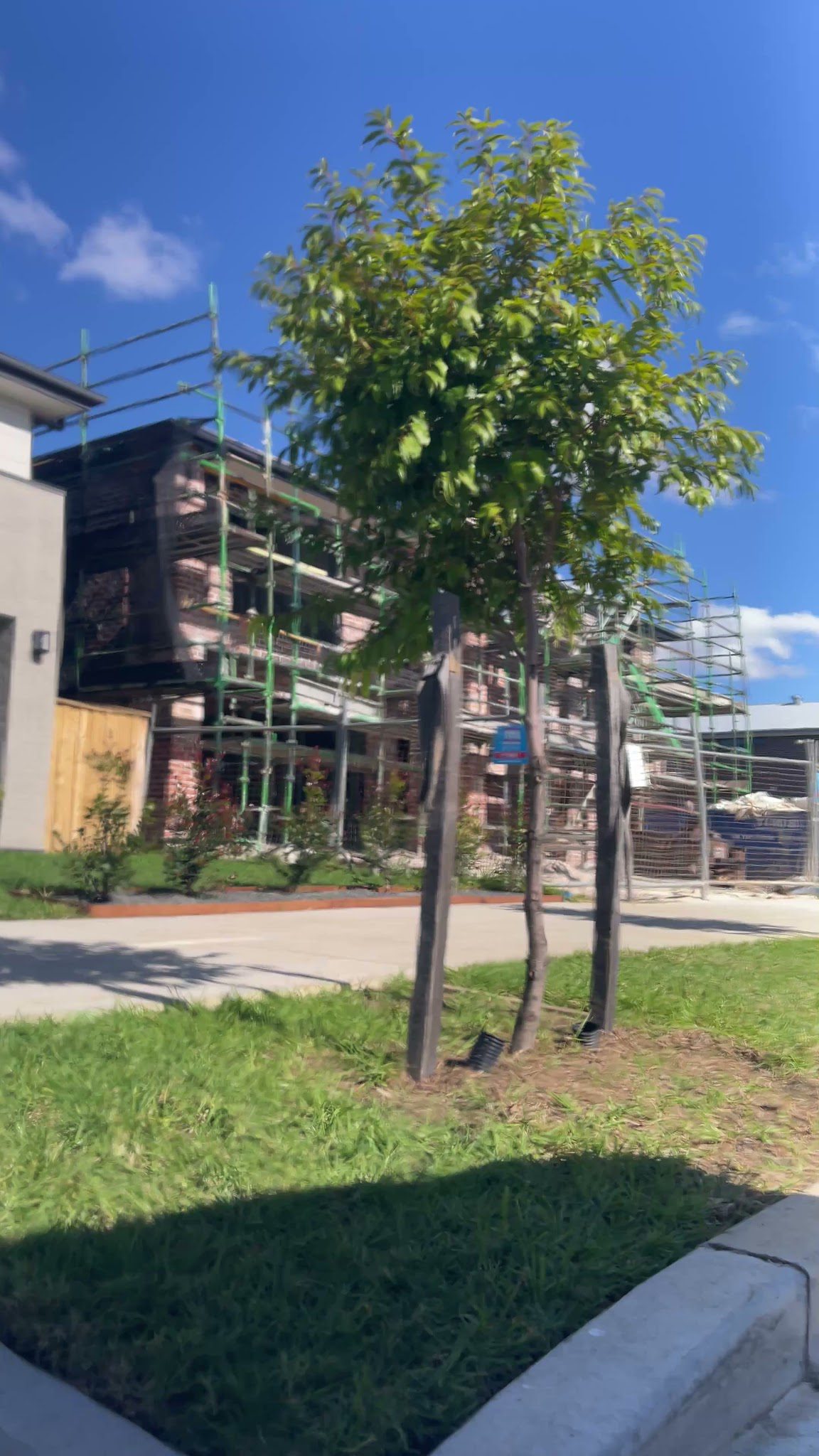 Glossed And Found Detailing