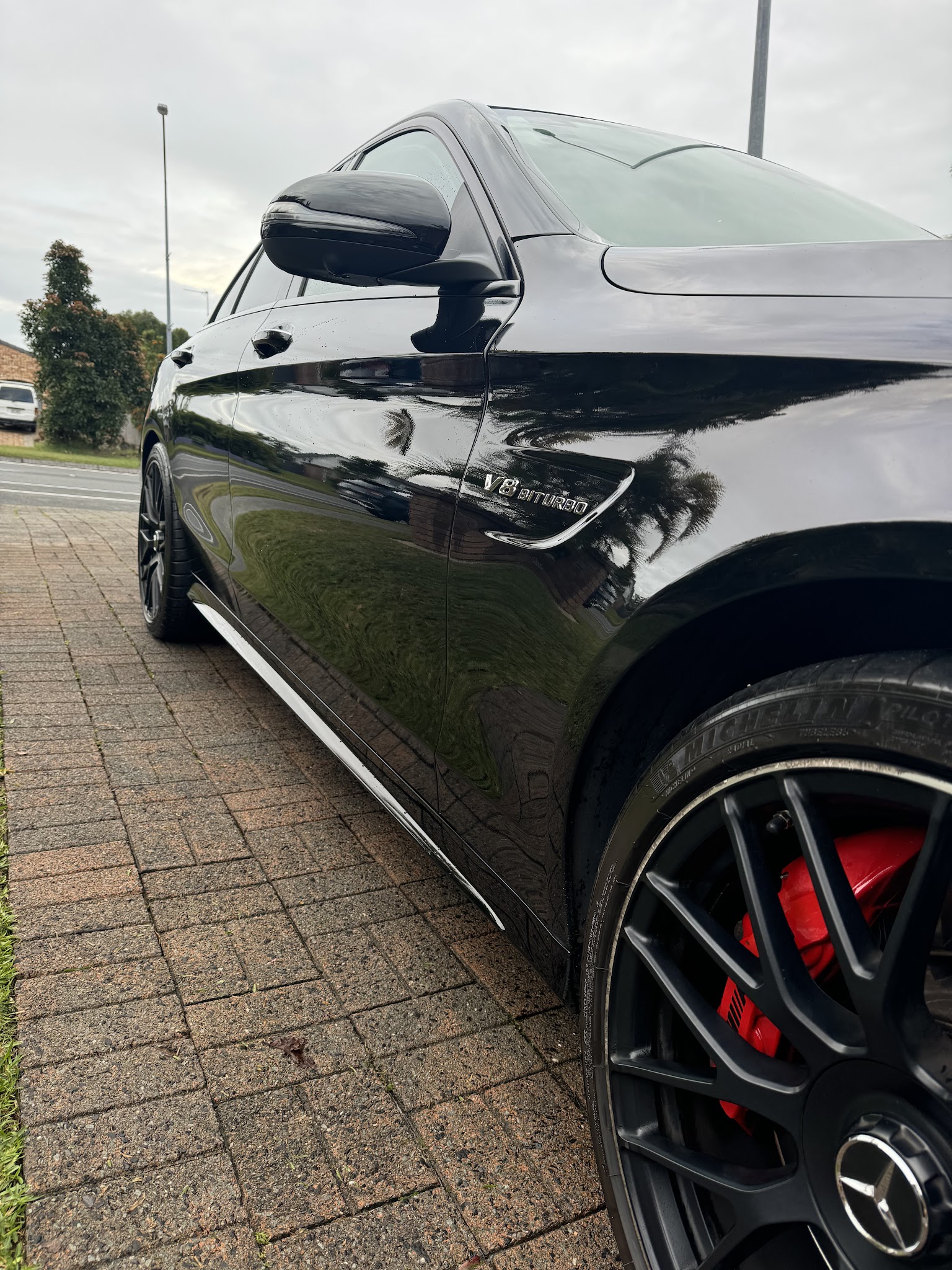 Goat Detailing