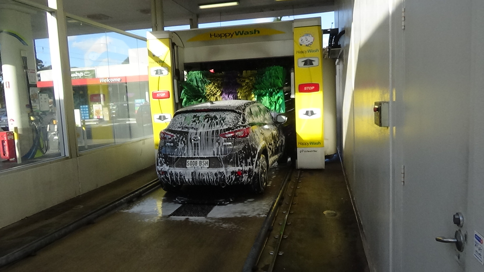 Happywash Newton