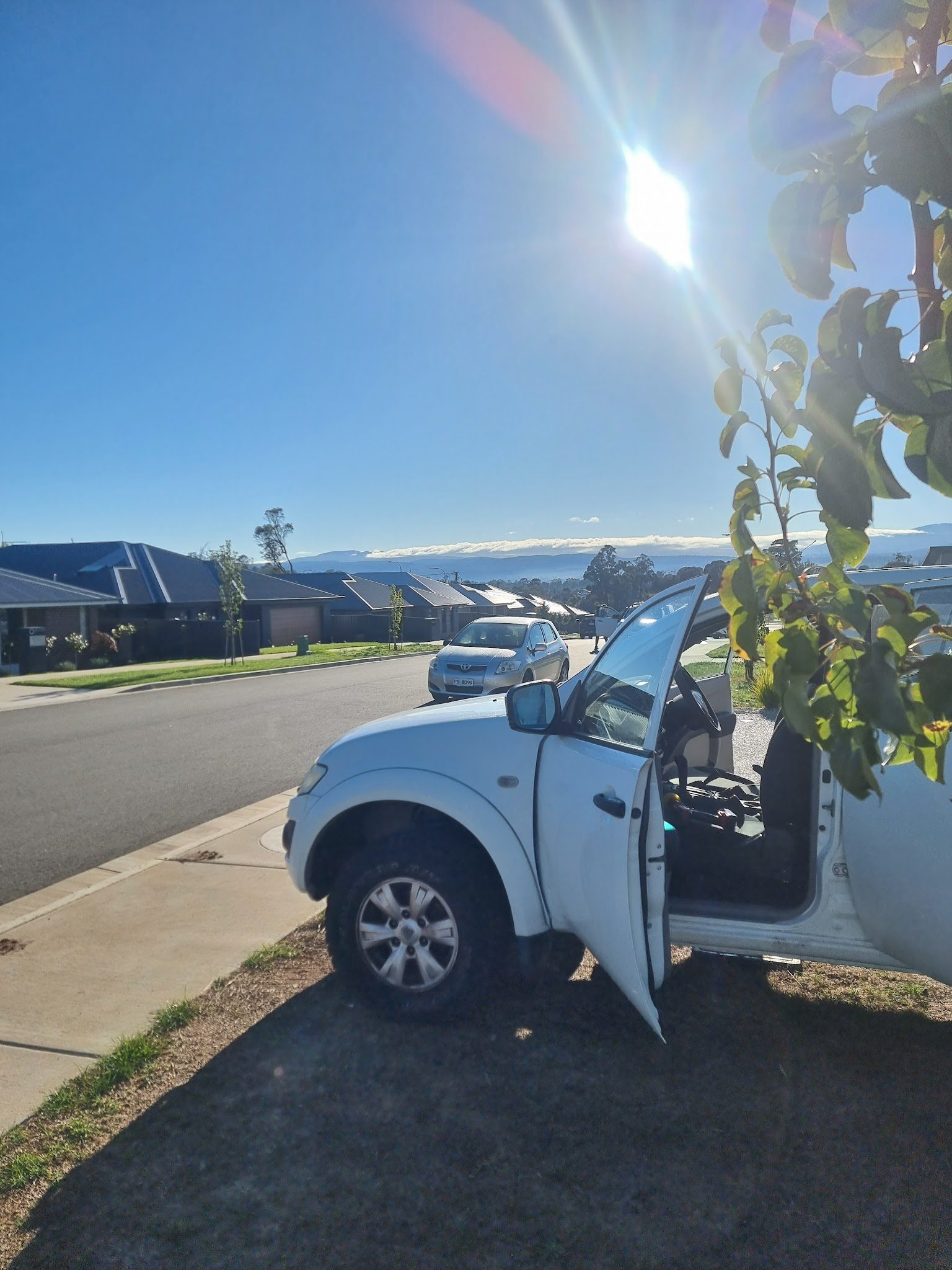 Master Wolf Detailing