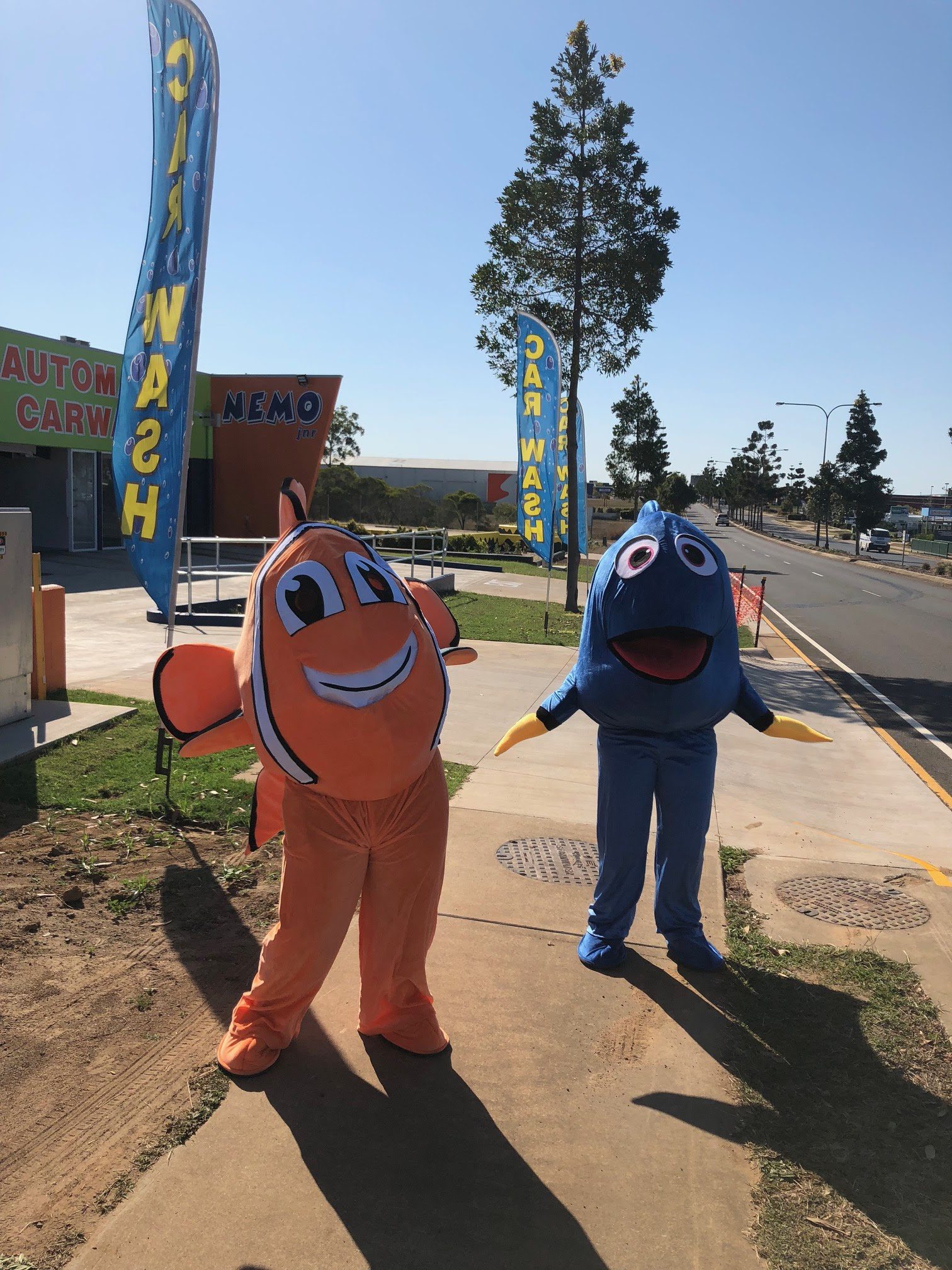 Nemo Car & Dog Wash Jnr