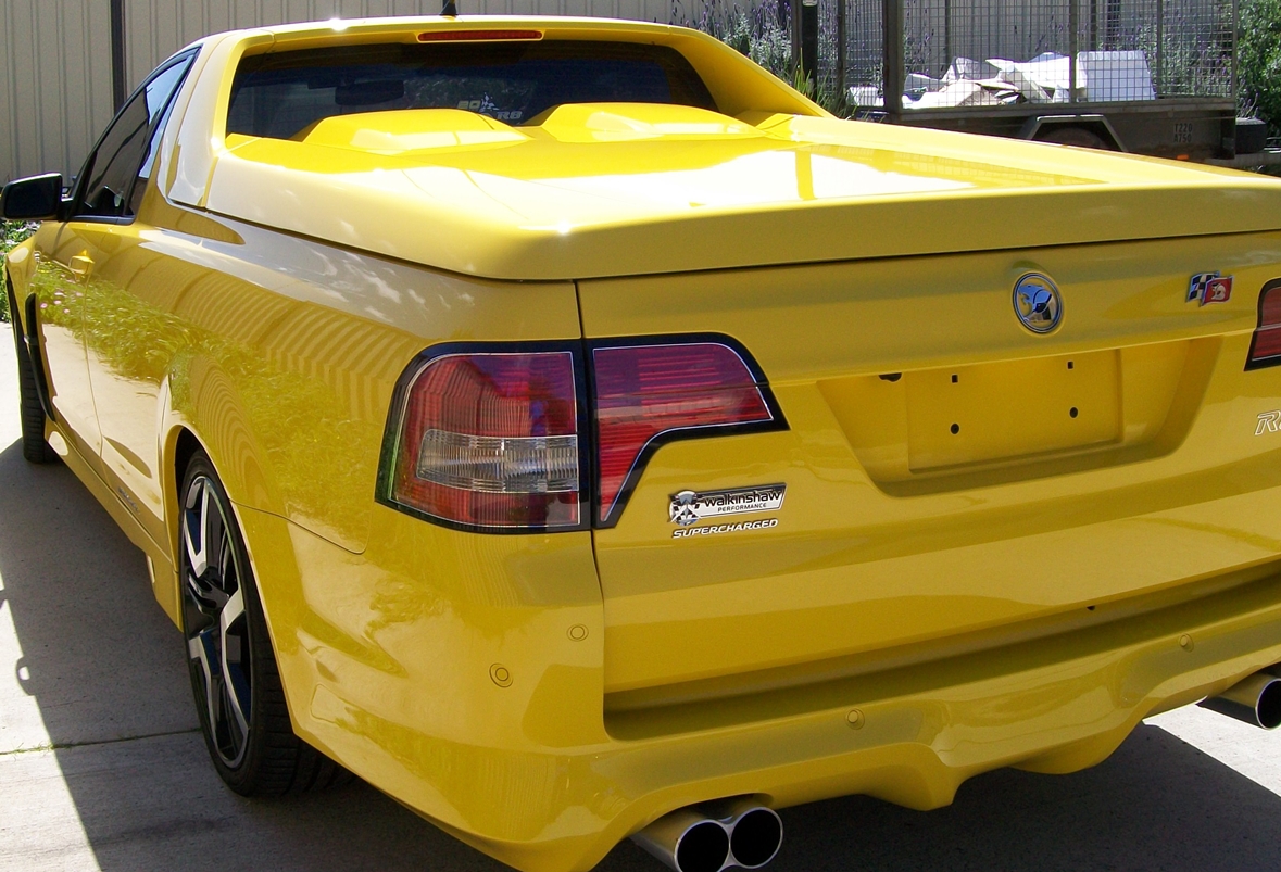Paint Protection Plus