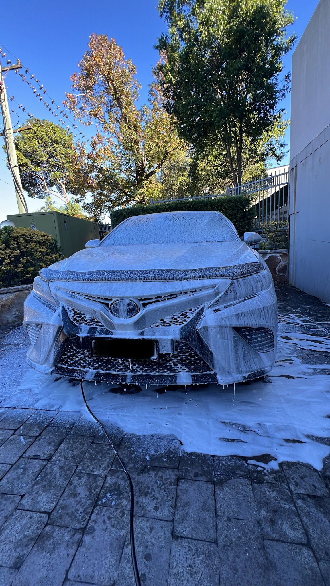 Royal Auto Detailing