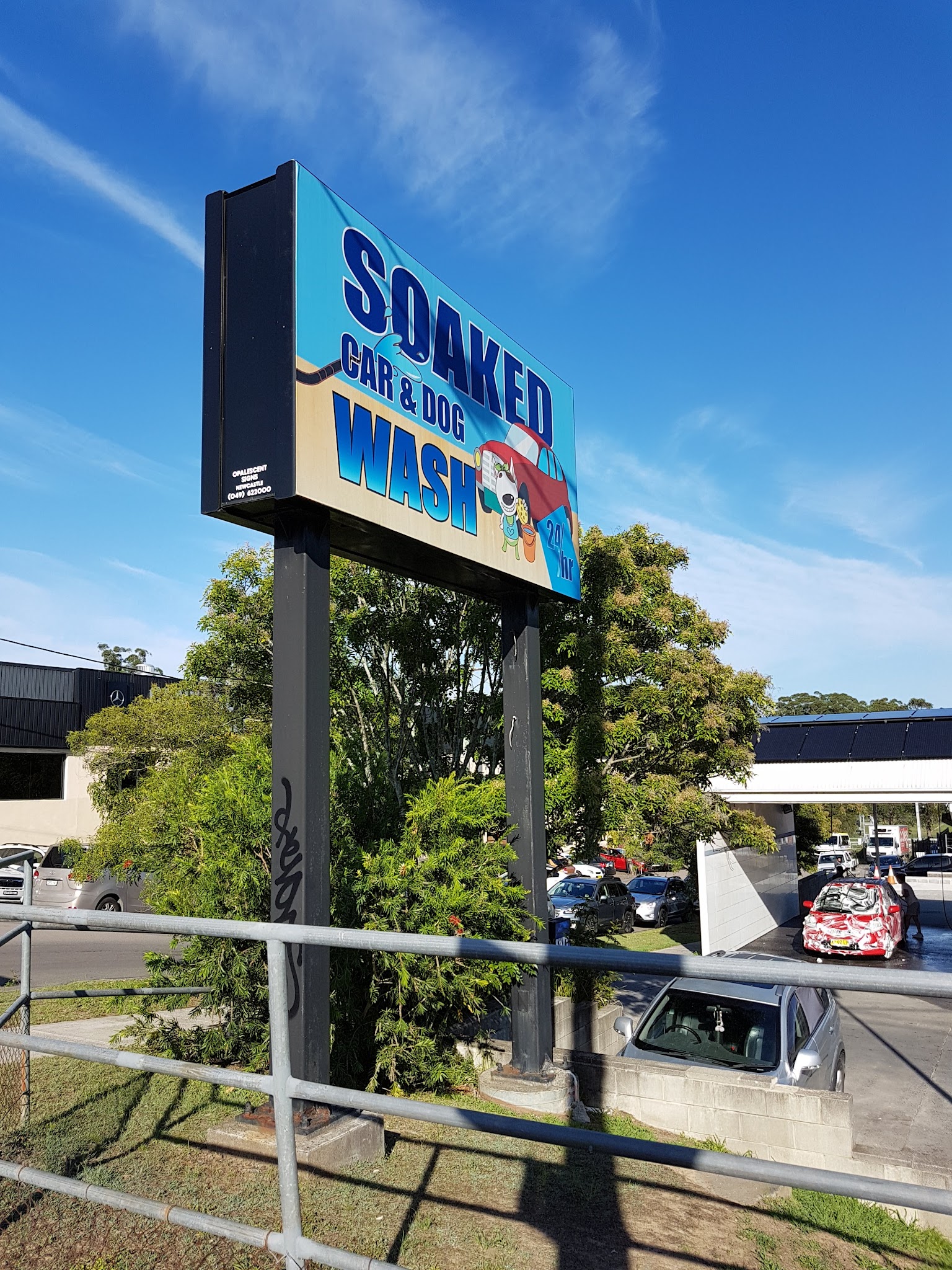 Soaked Car & Dog Wash