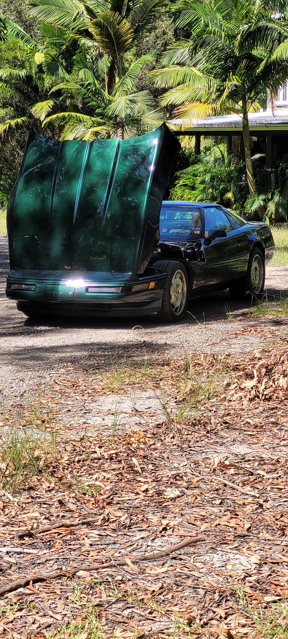 Sunshine Hot Cars | Car Detailing Noosa | Ceramic Coating