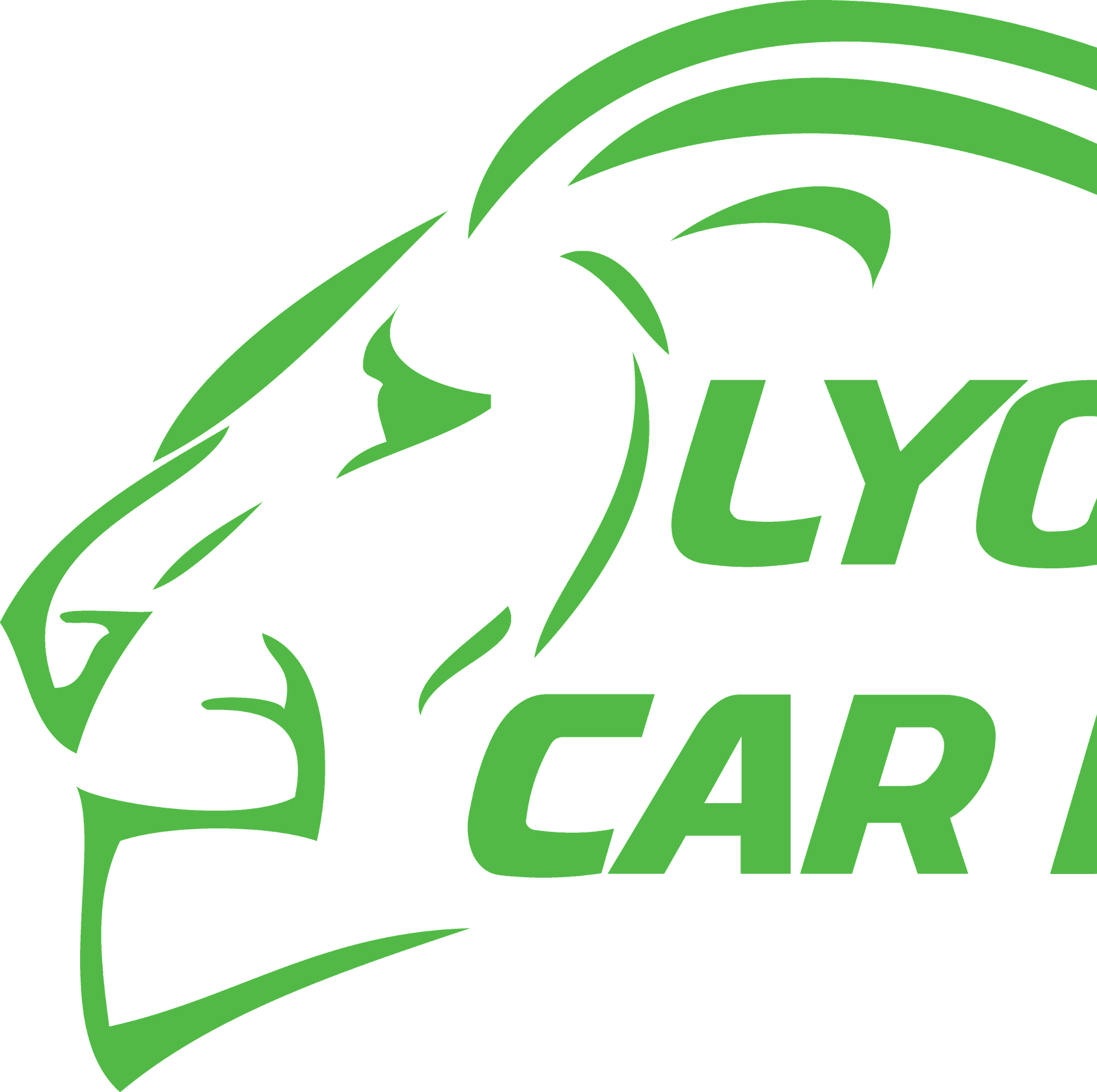 Lyon’s Pride Mobile Car Detailing