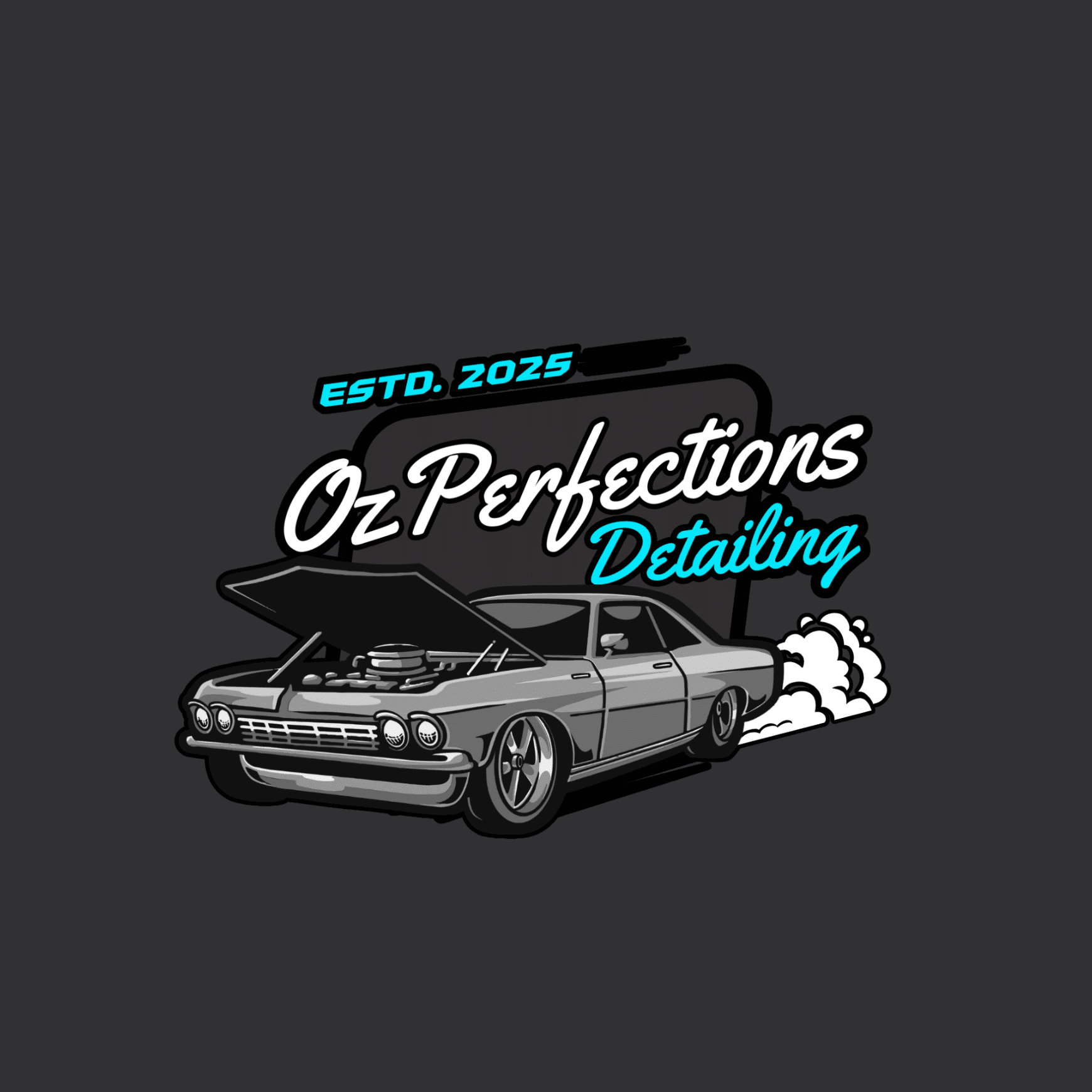 Ozperfections Mobile Detailing