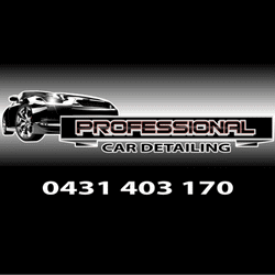 Professional Car Detailing