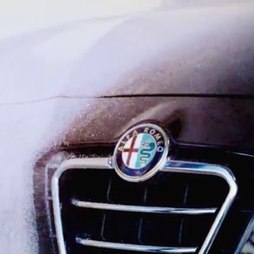 Puddles Carwash & Dogwash