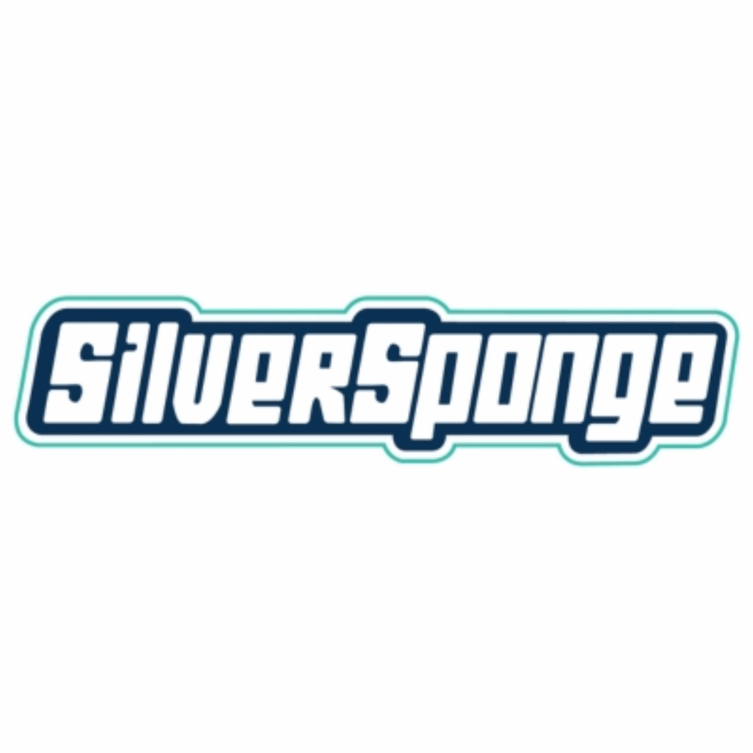 Silver Sponge Hand Car Wash Halls Head
