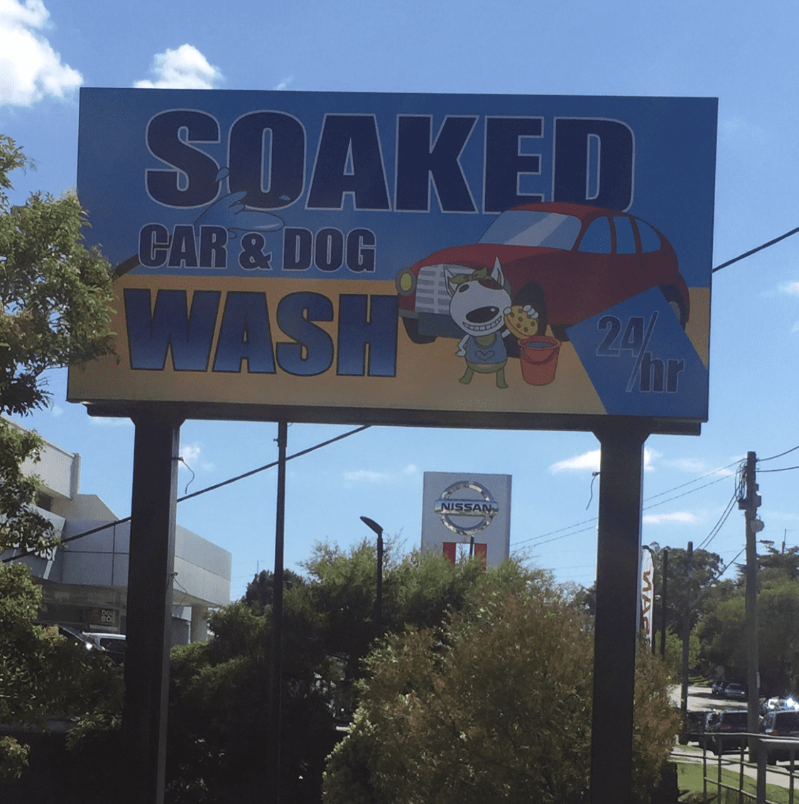 Soaked Car & Dog Wash