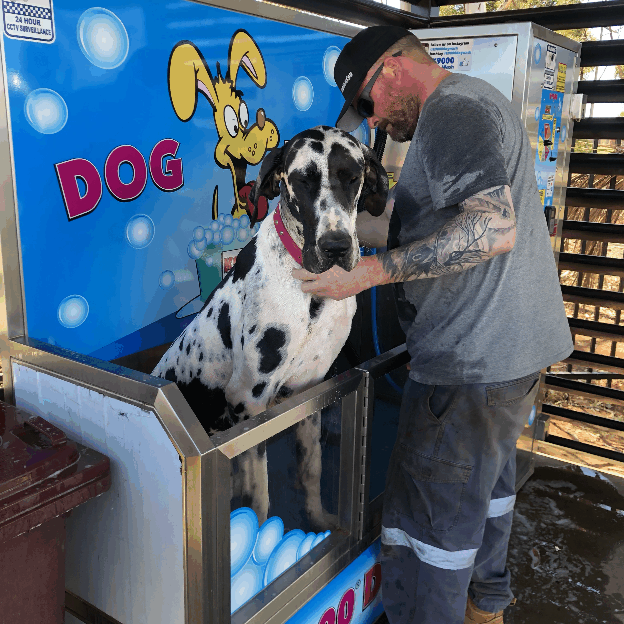 South Hedland Carwash And Dogwash